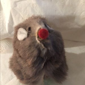 Meet your Posher, Steve